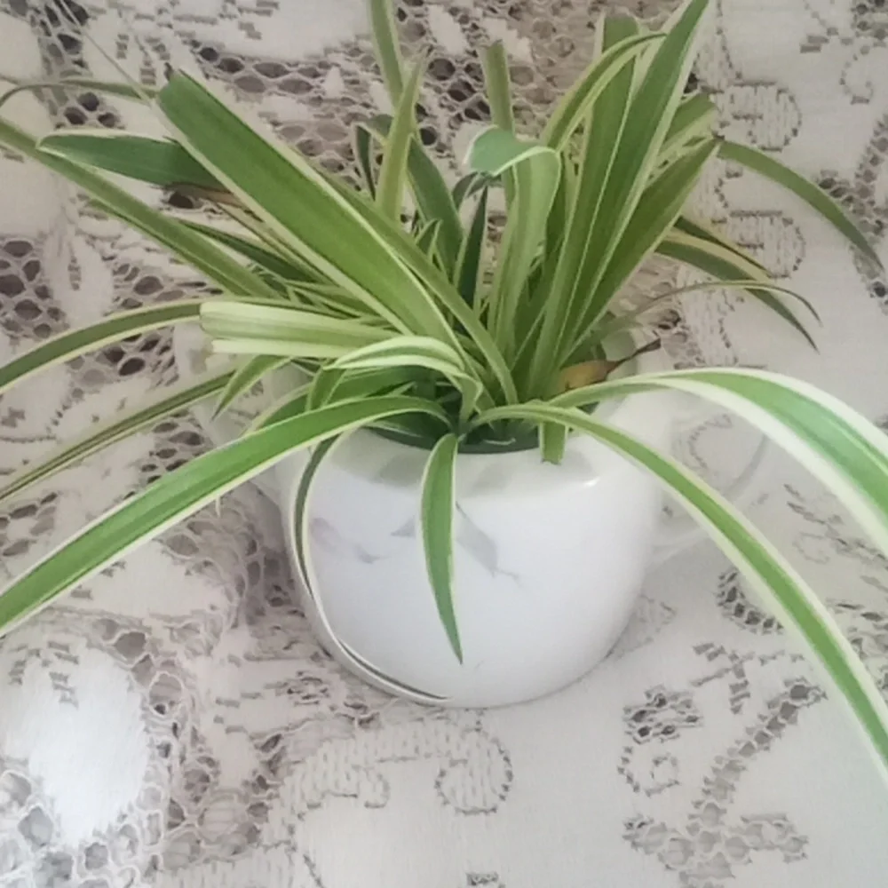 Hand painted Nippon sugar bowl with airplane plants